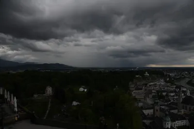 DSC_6371 (Large).JPG